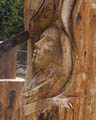 desná 2003
